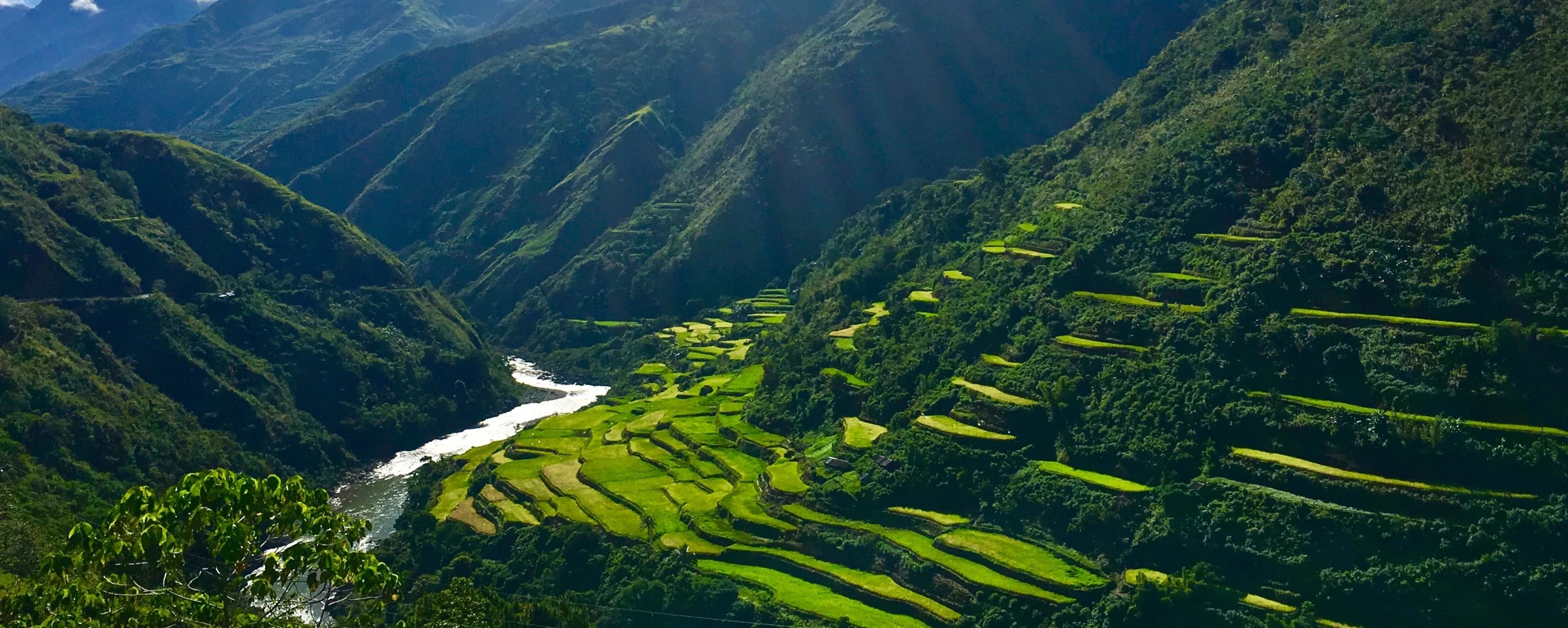 Rice Terraces