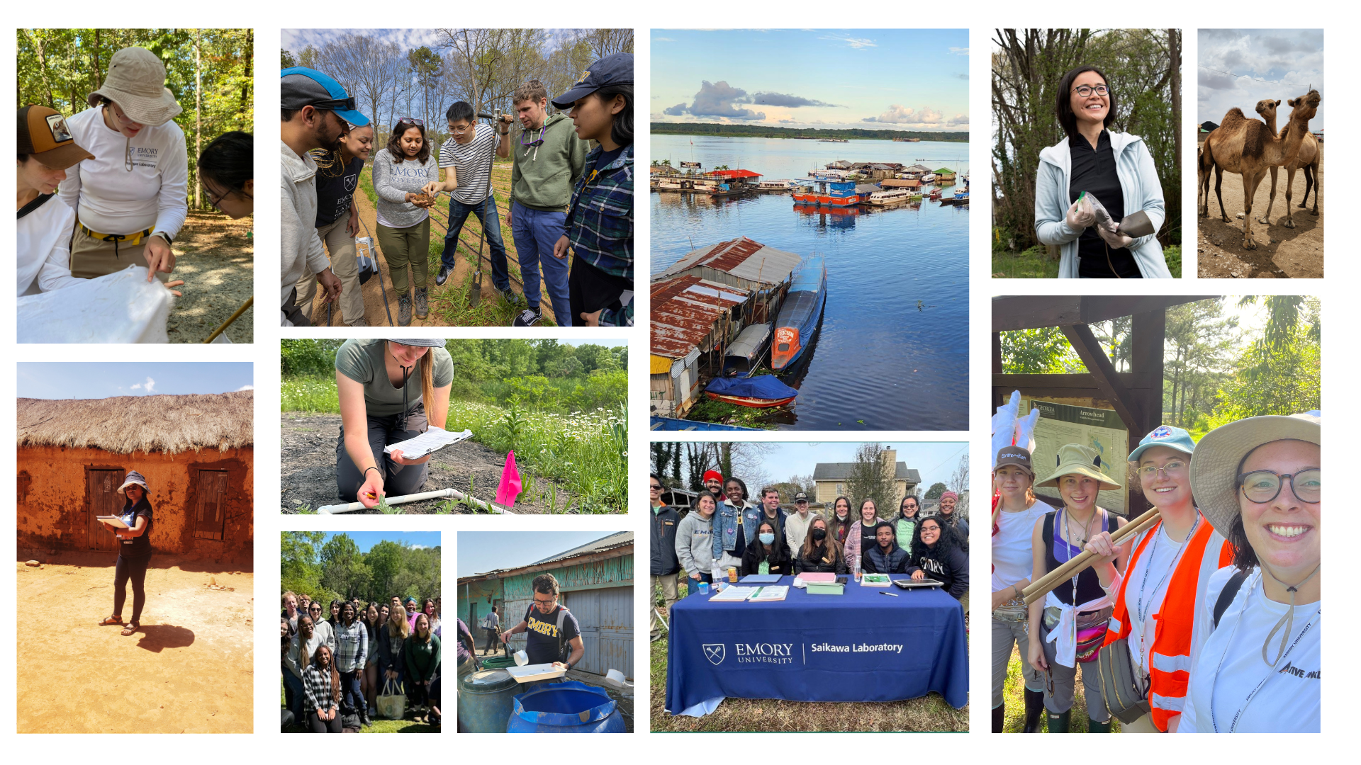 Collage of some Environmental Sciences and Society program events